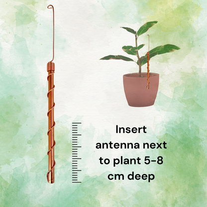 Classical Electroculture Antennas - 8 Pack Set for Enhanced Plant Growth